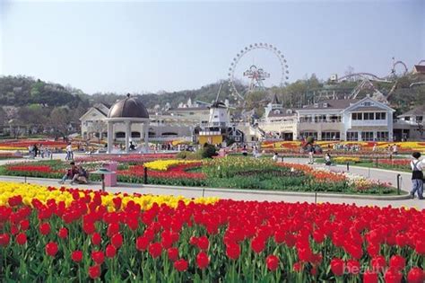 Selain dikenal dengan gemerlap dunia hiburan, negeri ginseng juga menjadi salah satu destinasi favorit banyak orang. 4 Taman Bunga Di Korea Ini Wajib Dikunjungi Saat Musim Panas