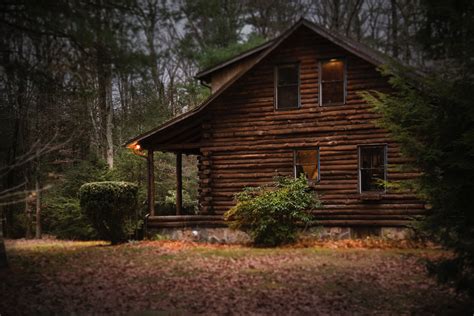 Brown Cabin In The Woods On Daytime · Free Stock Photo