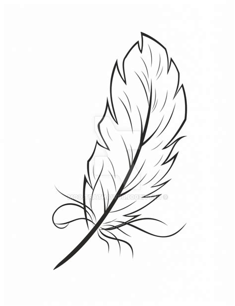 Feather Drawing Simple At Getdrawings Free Download