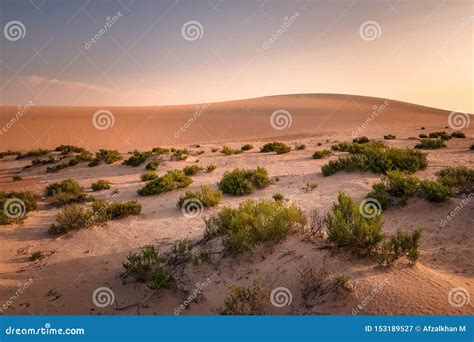 Beautiful Sunrise In Dammam Saudi Arabia Desert Stock Image Image Of