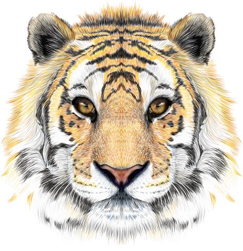 Tiger Png By Lg Design On Deviantart Tiger Artwork Ti