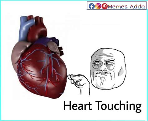 Heart Touching Memes Fun Quotes Funny Funny Joke Quote Memes