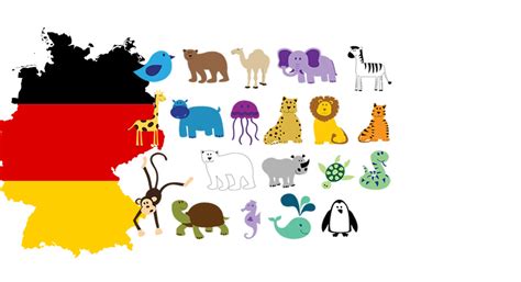Animals Vocabulary In German