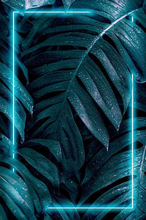 Download Premium Psd Of Green Neon Frame On Wet Monstera Plant Leaves
