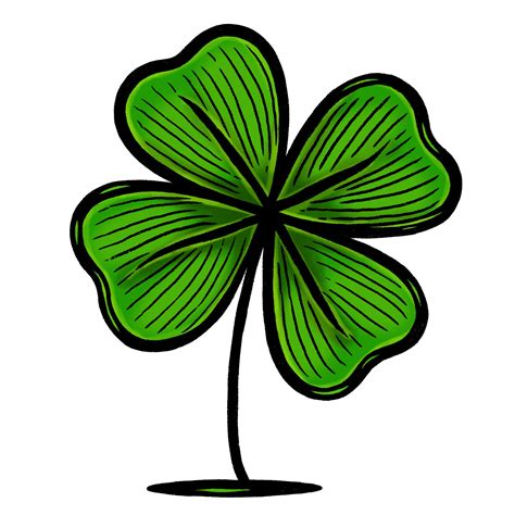 4 Leaf Clover Drawing 4 Easy Steps The Graphics Fairy