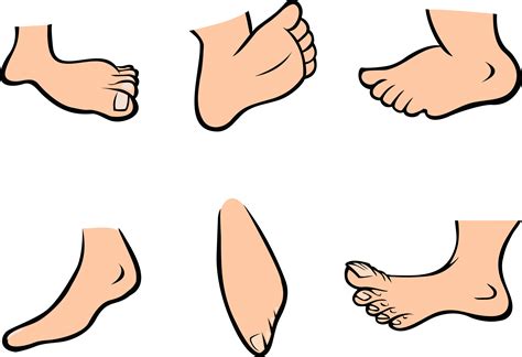 Cartoon Feet Images Free Download On Clipartmag