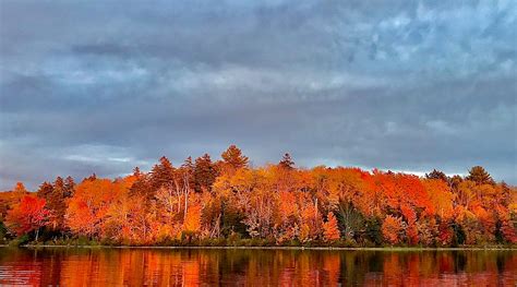 Fall Foliage Reaches Peak Conditions Around Western Massachusetts Wwlp