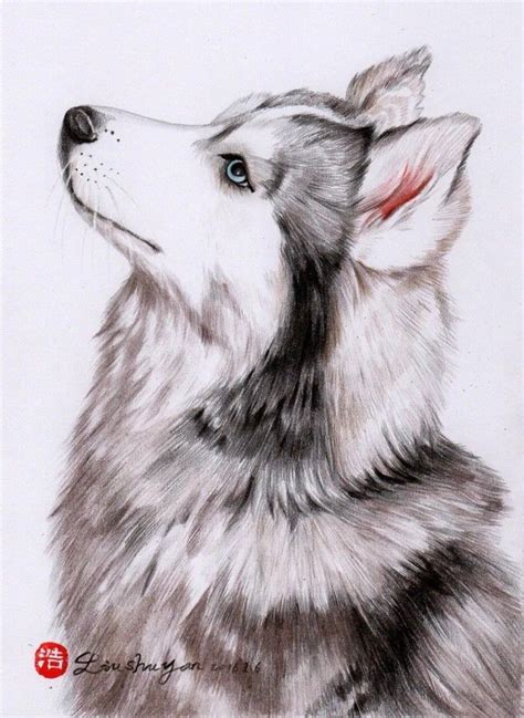 Pin By Wall E Nguyen On Perros Dog Drawing Puppy Art