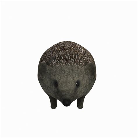 Hedgehog 3d Model