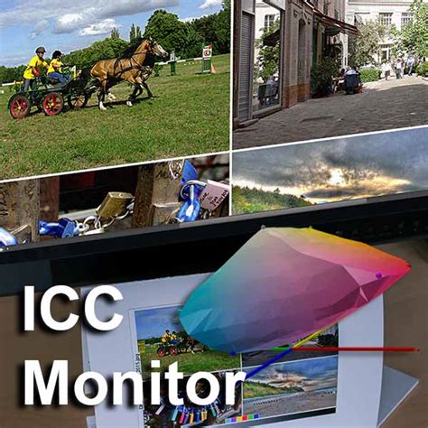 Profil Icc Monitor Kalibracja Profilowanie Dobrykolor