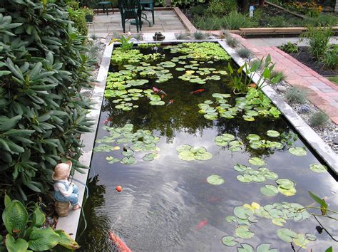 How big exactly is 1,000 gallons? Big Koi Fish Pond Design Ideas | Home Trendy