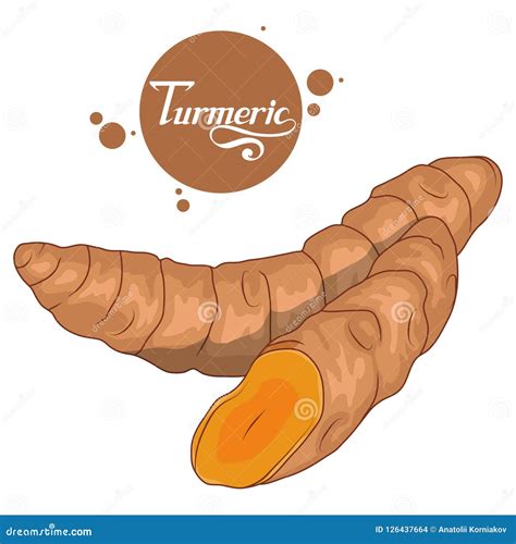Turmeric Cut Pieces Vector Illustration Isolated On White Background