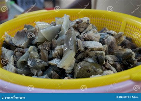Raw Turtle Meat Stock Photo Image Of Streetfood Cook 41286370