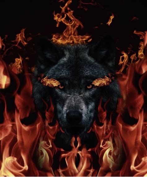 Fire Wolf Wallpaper Köpek