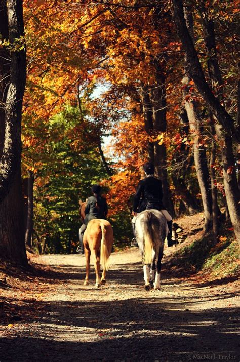 Autumn Riders Beautiful Horses Horse Life Horseback Riding