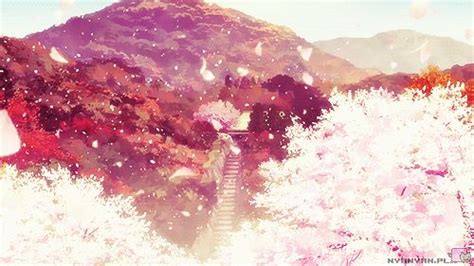 Check out our anime cherry blossom selection for the very best in unique or. anime sakura tree gif - Google Search | Anime scenery ...