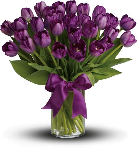 Passionate Purple Tulips Purple Tulips Container Flowers Fresh