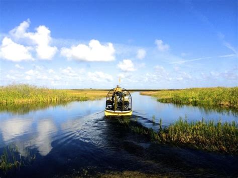 Airboat Adventure The River Of Grass Picture Of Everglades River Of