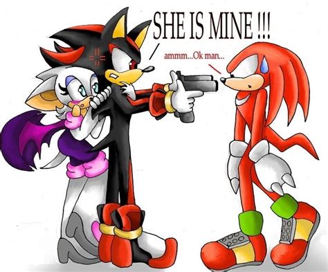 Shadow And Rouge Photo Shadow Want To Kill Knux Because He Love Rouge