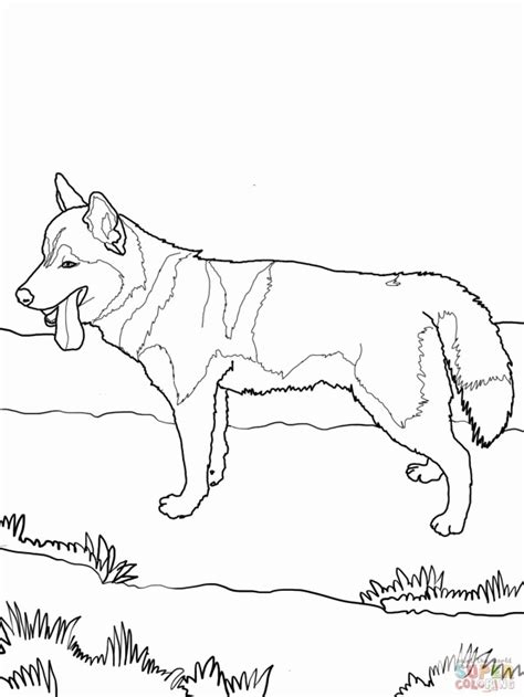Baby husky coloring pages yahoo image search results animal. Husky Puppy Coloring Pages - Coloring Home