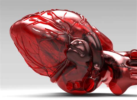 Швейцарські вчені створили перше в світі м яке штучне серце itechua