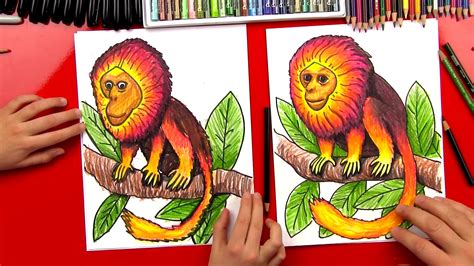 How To Draw A Golden Lion Monkey Art For Kids Hub