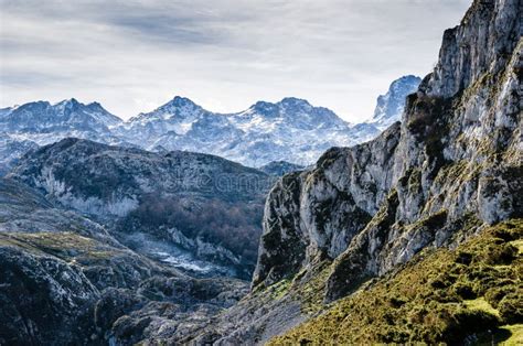 Picos De Europa Asturias Sharp Mountains Covered By Snow With Stock
