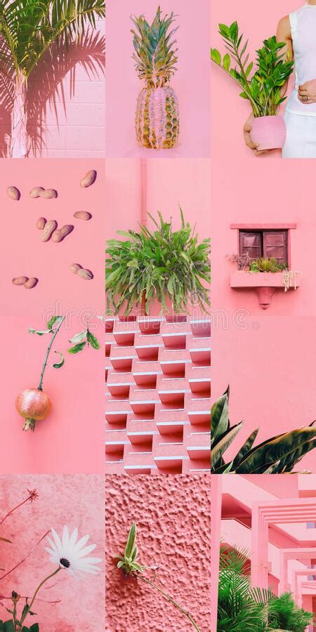 Set Of Trendy Aesthetic Photo Collages Minimalistic Images Of One Top