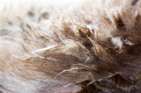 Unfortunately, identifying hair loss isn't always easy. What Causes Fur Clumps on My Cat's Back?