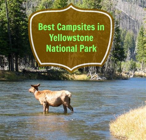 best campsites in yellowstone national park