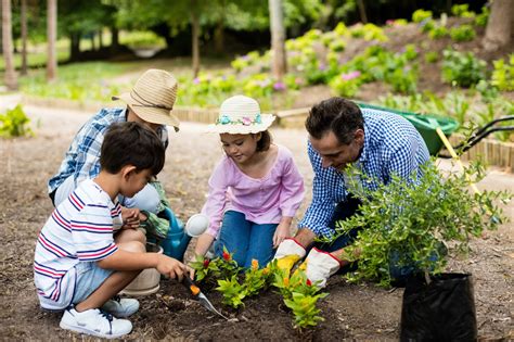 5 Incredible Health Benefits Of Gardening Finding Farina