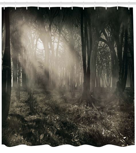 Gothic Decor Photo Of Dark Forest Scenery With Sunbeams And Fog Vintage