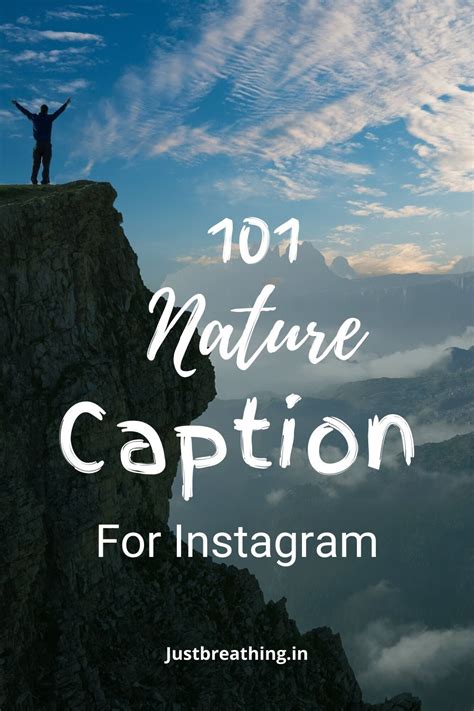 101 Amazing Nature Captions For Instagram Forest Quotes Instagram