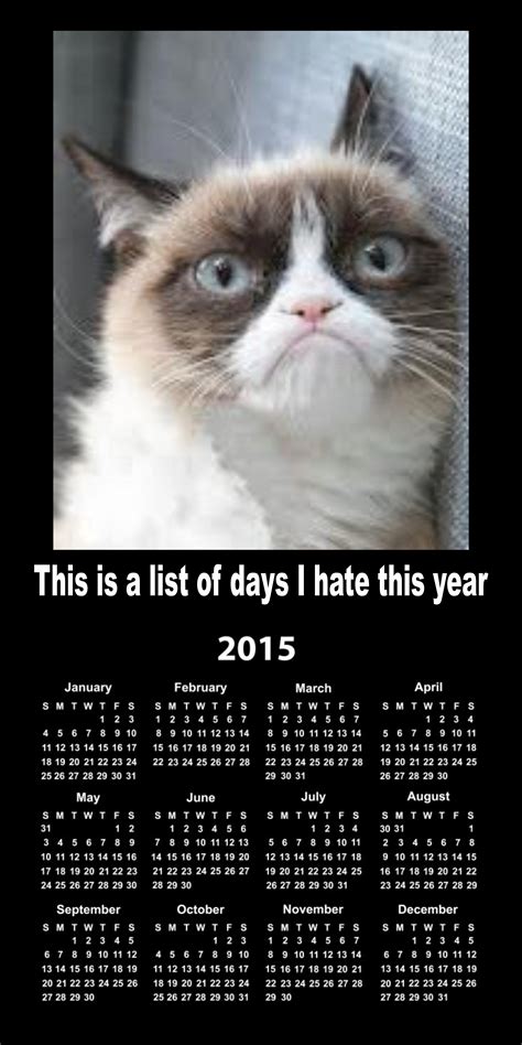 Grumpy Calendar 2015 Grumpy Cat Know Your Meme