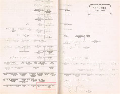 Maybe you would like to learn more about one of these? Agg Di Laat: Princess Diana: ਪ੍ਰਿੰਸੈਸ ਡਾਇਨਾ ਦੀ ਵੰਸਾਵਲੀ