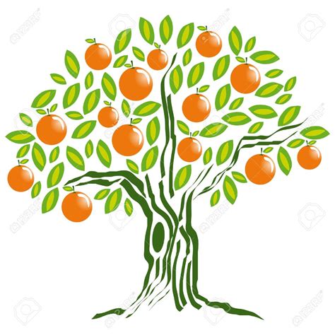 Orange Trees Clipart Clipground