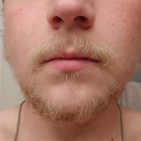 The Rare Platinum Blonde Beard Question In Comments Beards