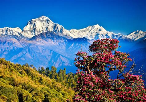 Pin By Swosti Travels On Explore Best Tourist Place Of Nepal Beautiful Places To Visit Nepal