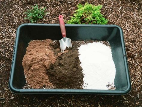Homemade Potting Soil For Succulent Plants World Of Succulents