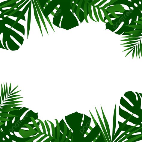 leaf tropical summer vector png images summer tropical leaf frame border design summer