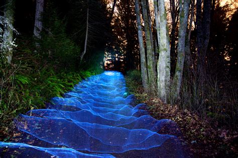 Search, discover and share your favorite river gifs. Flowing river of light in the forest. GIF : woahdude