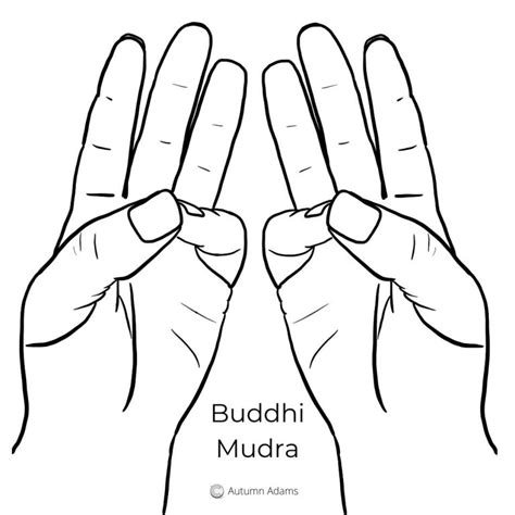 Top 5 Meditation Hand Positions To Improve Your Practice Ambuja Yoga