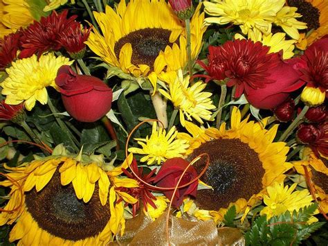 Long lasting cut flowers nz. Pin on Wedding flower ideas