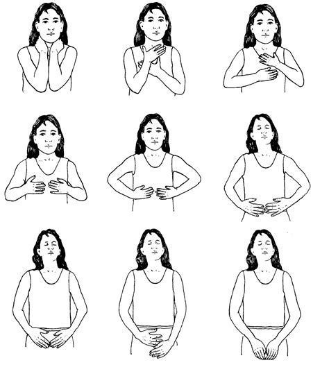 Star Mistress Reiki Hand Positions Chart Energy Healing Reiki