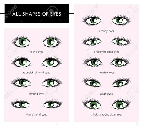 Different Shapes Of Eyes Of Human Different Eye Shapes For Makeup Image