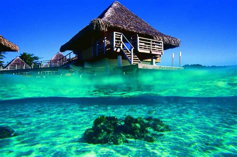 free download wallpaper bungalow bora ocean bora bora french polynesia blue [2000x1327] for your