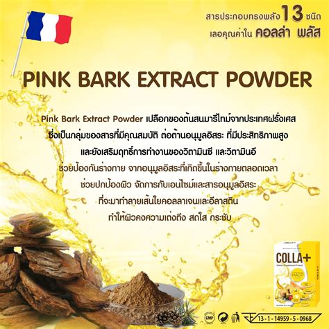 Pink Bark Extract Powder เปลือกของต้นสนมาริไทม์จากประเทศฝรั่งเศส ซี่งเป็นกลุ่มของสารที่มี ...