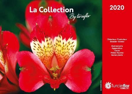 Aday listesinin lideri petr měsíc'in istifa etmesinden sonra feri, göreve geldi ve belediye başkanı jaroslav kubera liderliğindeki. Notre catalogue | Catalogue, Déco jardin, Jour férié