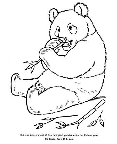 They're now considered \ vulnerable\ to extinction. Panda - Free Colouring Pages