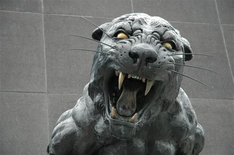 Looking for the best wallpapers? 49+ Carolina Panthers iPhone 6 Wallpaper on WallpaperSafari